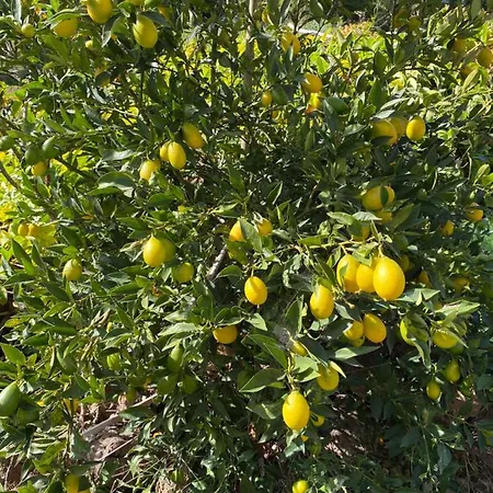 El Time Semesterbostad