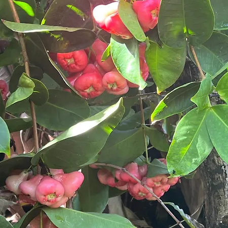 El Time Semesterbostad *