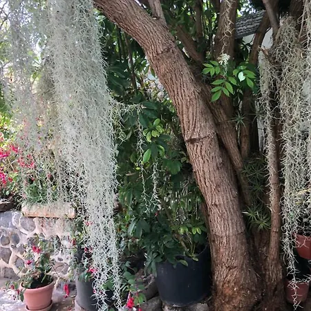 El Time Semesterbostad *