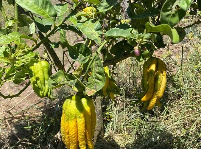 El Time 別荘 ティハラフェ