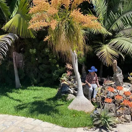 El Time Dom wakacyjny