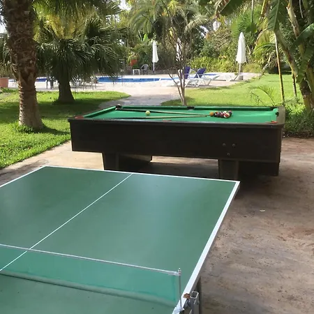 Dom wakacyjny El Time *